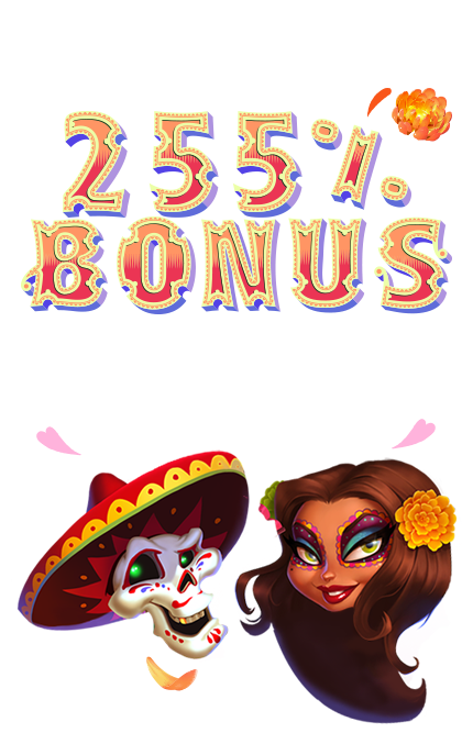 Premier Live Premier Live Casino